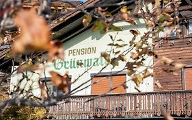 Pension Grünwald